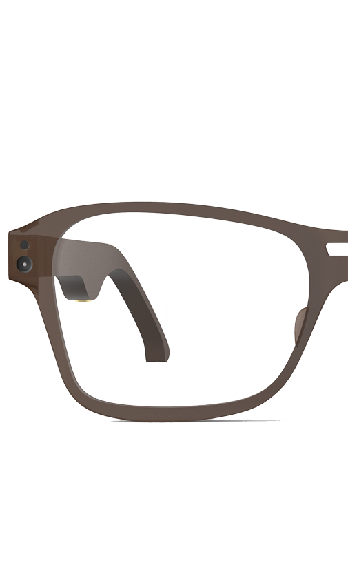 Facial Recognition Glasses